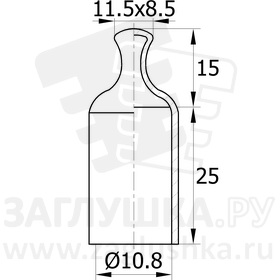 CAPMHT10,8B